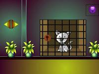 play G2L Rescue The Pity Mouse Html5