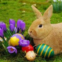 play G2R-Easter Blue Egg Bunny Escape Html5