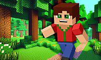 play Minicraft