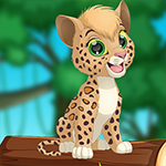 play Cheerful Leopard Escape
