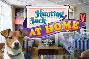 play Hunting Jack - At Home