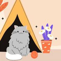 play Big-Hungry Cat Family Escape Html5