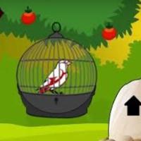play G2L-White-Bird-Escape