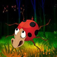Wow-Magical Insect Jungle Escape Html5