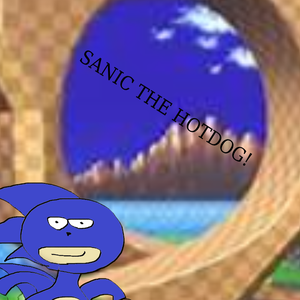 Sanic The Hotdog!