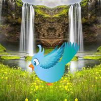 play Rescue The Friends Birds Html5