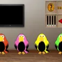 play 8B Colorful Escape-Find Peacock Blu