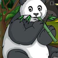 play Giant-Panda-Escape