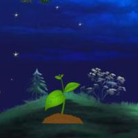 play Wow-Night Forest Owl Escape Html5