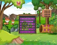 play G2L Find The Turtle Html5