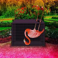 play Help The Troubled Flamingo Bird Html5