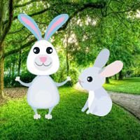 play G2R-Find Bunny Child Html5