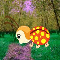 play G2R-Bamboo Forest Bug Escape Html5