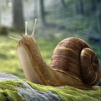 play Wow-Illusionist Snail Forest Escape Html5