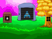 play G2L Small Bird Rescue