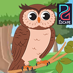 play Pg Owl Rescue Escape