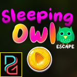 play Sleeping Owl Escape