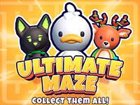 play Ultimate Maze - Collect Them All!