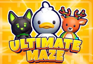 play Ultimate Maze Collect Them All