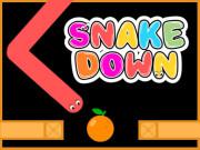 play Snake Down