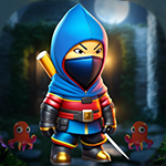 play Ninja Warrior Escape