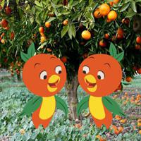 play G2R-Twin Orange Birds Escape Html5