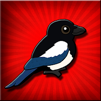 play Fg Lovely Magpie Bird Escape