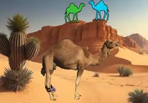 play Camel’S Release Desert Discovery