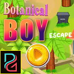 play Pg Botanical Boy Escape