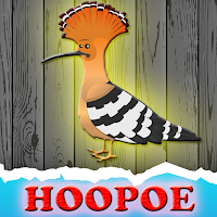 G2J The Hoopoe Rescue From Cage
