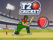 play T20 Cricket