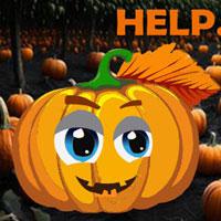 play Hog-Find The Pumpkin Chariot Html5