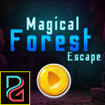 play Pg Magical Forest Escape