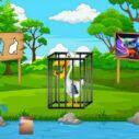 play G2M Caged Stork Challenge
