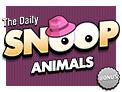 The Daily Snoop Animals Bonus game