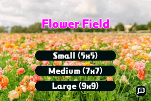 play Flower Field