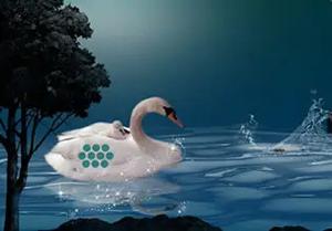 Save The Swan Mother Child