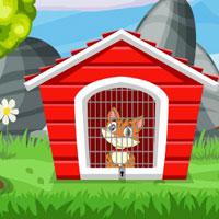 play G2J-Find-The-Cat-House-Key