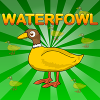 play Games2Jolly-Waterfowl-Rescue