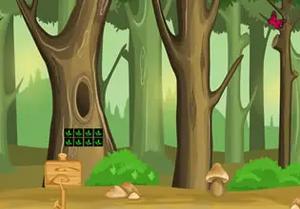 play Escape From Greenery Forest
