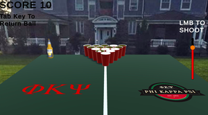 play Beerpong