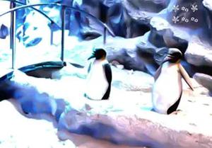 play Winter Penguin Family Escape