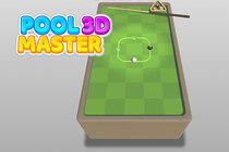 play Pool Master 3D