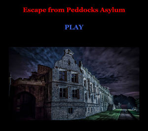 play Escape From Peddocks Asylum