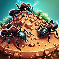 Ant Colony