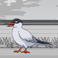 play G2J Rescue The Arctic Tern