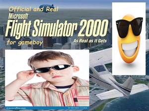 play Microsoft Flight Simulator For Gameboy The Real One