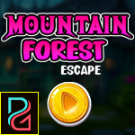 play Mountain Forest Escape