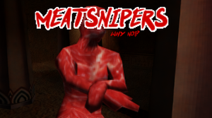 play Meatsniperswhynot?