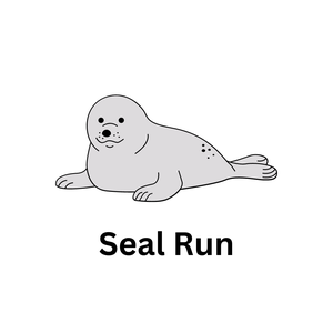 play Seal Run